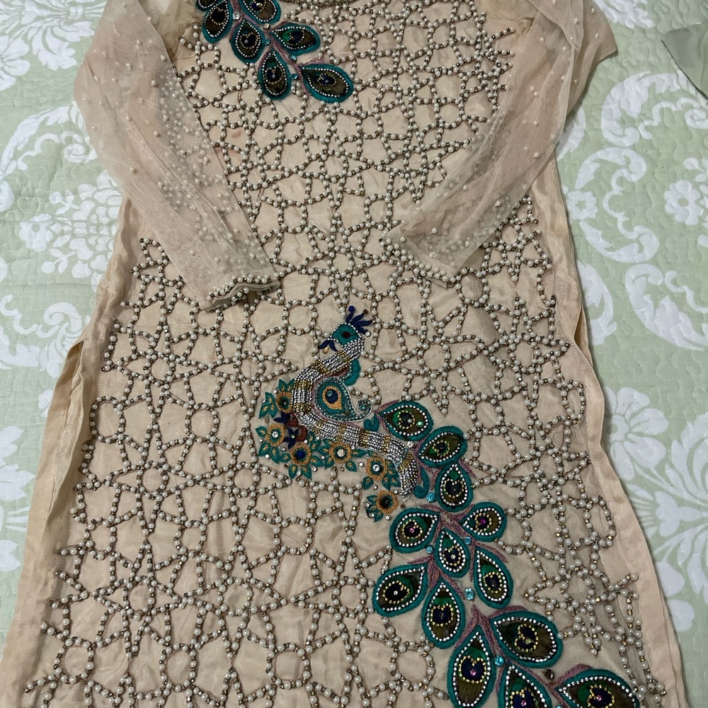 Pakistani Indian Elegant Beige Embroidered Dress